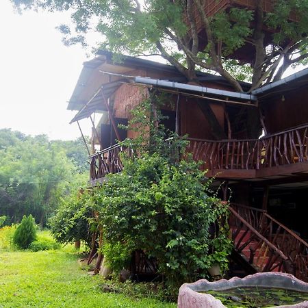 Anushka Nera Nature House Sigirija Pokój zdjęcie