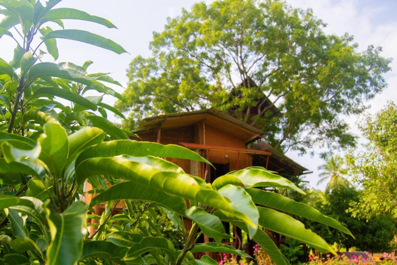 Anushka Nera Nature House Sigirija Pokój zdjęcie