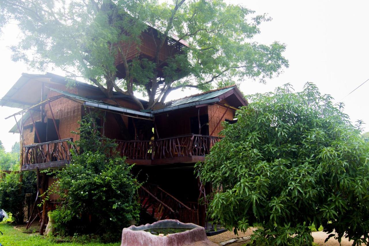 Anushka Nera Nature House Sigirija Pokój zdjęcie